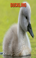 Duckling