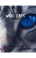 Wild Cats