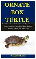 Ornate Box Turtle
