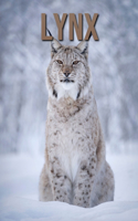 Lynx: A Children Pictures Book About Lynx With Fun Lynx Facts and Photos For Kids