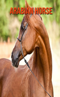 Arabian Horse: Learn About Arabian Horse and Enjoy Colorful Pictures