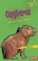 Capybaras