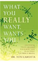 What You Really Want, Wants You: Uncovering Twelve Qualities You Already Have to Get What You Think Is Missing(English)