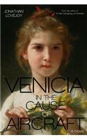 Venicia in the Cause of Aircraft