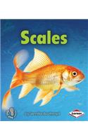 Scales: (First Step Nonfiction — Body Coverings)