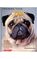 Training Your Pug