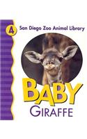 Baby Giraffe