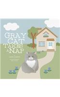 Gray Cat Takes a Nap