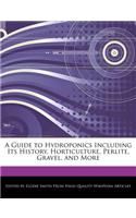 A Guide to Hydroponics Including Its History, Horticulture, Perlite, Gravel, and More