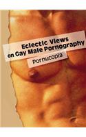 Eclectic Views on Gay Male Pornography