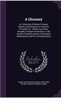 A Glossary