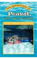 The Adventures of Peanut, the Sugar Glider