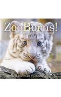 Zooborns!
