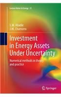 Investment in Energy Assets Under Uncertainty