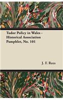 Tudor Policy in Wales - Historical Association Pamphlet, No. 101