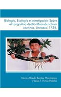Biologia, Ecologia E Investigacion Sobre El Langostino de Rio Macrobrachium Carcinus. Linnaeus, 1758.
