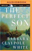 Perfect Son