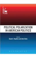 Political Polarization in American Politics