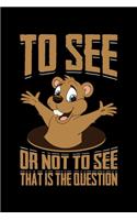 To See Or Not To See That Is The Question