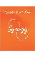 Seven Minute Synergy Workbook