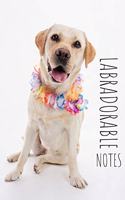 labradorable notes labrador retriever notebook Dog's lovers journal Cute puppy gift idea for labby lovers