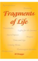 Fragments of Life