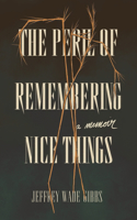 Peril of Remembering Nice Things