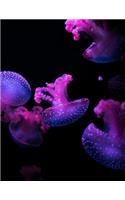 Jellyfish Notebook: Dot Grid Notebook Journal 8.5 x 11 202 Pages