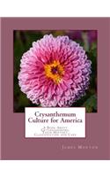 Crysanthemum Culture for America