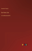 Rote Lilie: in Großdruckschrift