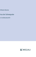 Aus der Schneegrube
