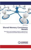 Shared Memory Consistency Models