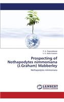 Prospecting of Nothapodytes nimmoniana (J.Graham) Mabberley