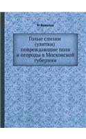 &#1043;&#1086;&#1083;&#1099;&#1077; &#1089;&#1083;&#1080;&#1079;&#1085;&#1080; (&#1091;&#1083;&#1080;&#1090;&#1082;&#1080;) &#1087;&#1086;&#1074;&#1088;&#1077;&#1078;&#1076;&#1072;&#1102;&#1097;&#1080;&#1077; &#1087;&#1086;&#1083;&#1103; &#1080; &#