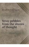 Stray pebbles from the shores of thought