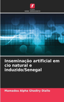 Inseminação artificial em cio natural e induzido/Senegal