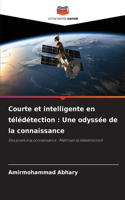 Courte et intelligente en télédétection