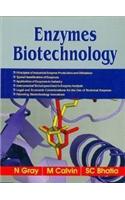 Enzymes Biotechnology