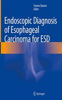 Endoscopic Diagnosis of Esophageal Carcinoma for Esd