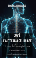 Cos'è l'Autofagia Cellulare: Il ruolo dell'autofagia in una dieta corretta con un'alimentazione sana