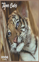 Tiger Cubs 2021 Calendar: Beautiful Tiger Cubs - 2021 Calendar 8.5" x 8.5" - glossy finish