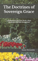 The Doctrines of Sovereign Grace