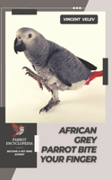 African Grey Parrot Bite Your Finger: Parrot encyclopedia, Become a pet bird expert