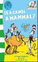 Is a Camel a Mammal?