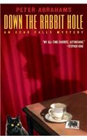 Down the Rabbit Hole: (1 Echo Falls Mystery)