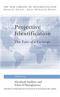 Projective Identification