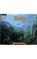 Kelp