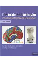 The Brain and Behavior