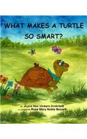 What Makes A Turtle So Smart?