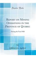 Report on Mining Operations in the Province of Quebec: During the Year 1920 (Classic Reprint): During the Year 1920 (Classic Reprint)